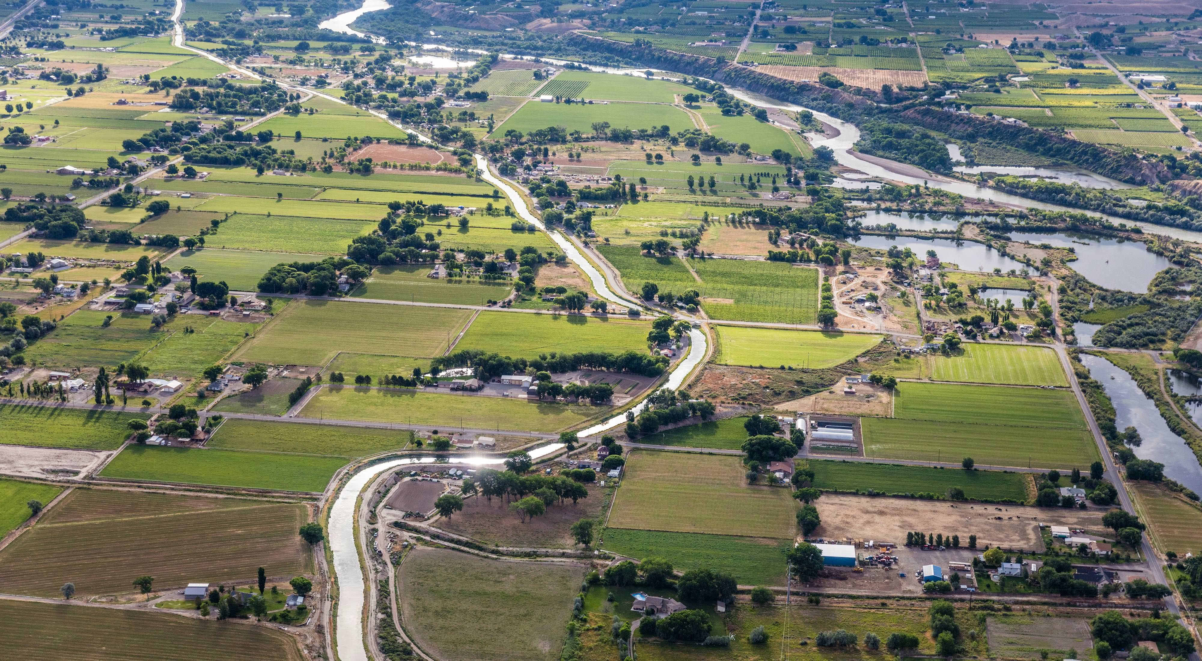 Aerial view of rivers passing through farm fields with a few trees and buildings.