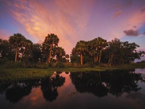 Sunsets over Florida ranchland with palms and a pond.