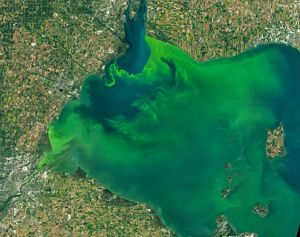 Great Lakes