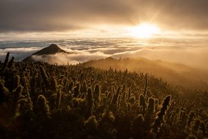 Sunrise above fields in Caratuva, Brazil.