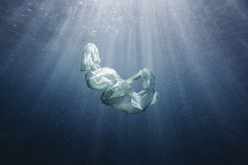 Una bolsa plástico flotando en el océano