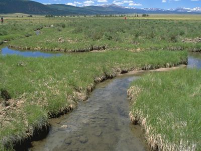 Landscape view of the wetlands of High Creek Fen, with a stream meandering through green wetlands and mountains in the far distance. 