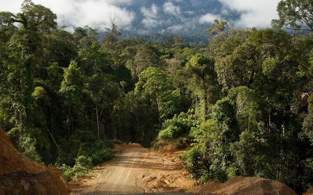 Road from Sumalindo IV base camp to the Dayak village of Long Laai, East Kalimantan, Borneo, Indonesia.