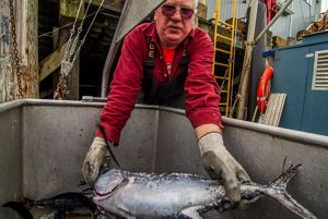 fisherman in a red shirt presenting a large fish