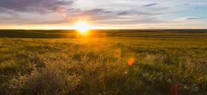 Sun sets on an open prairie field.