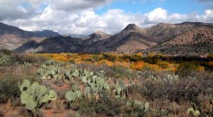New Mexico climate change 490x250