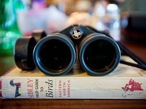 Binoculars and a Book at Mad Island Swamp Nature Preserve