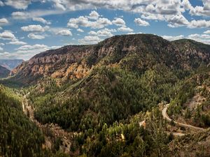 Landscape of a canyon with densely packed trees and a blue sky with clouds above.