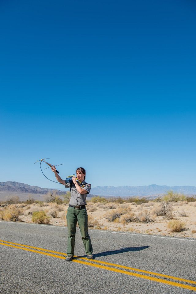 Kristen Lalumiere tracks the location of recently tagged desert tortoises in Joshua Tree National Park.