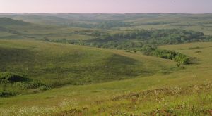 Landscape view of the rolling hills at the Konza Prairie in Kansas.