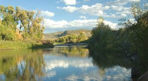 A broad river with trees on its bank and hills in the background.