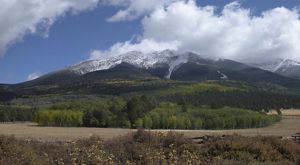 An expanse of autumn forest at the foot of a mountain dusted by snow and partially shrouded by clouds.