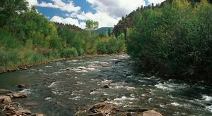 A rushing river runs over boulders, surrounded by green foliage on each bank with mountainous terrain in the distance.