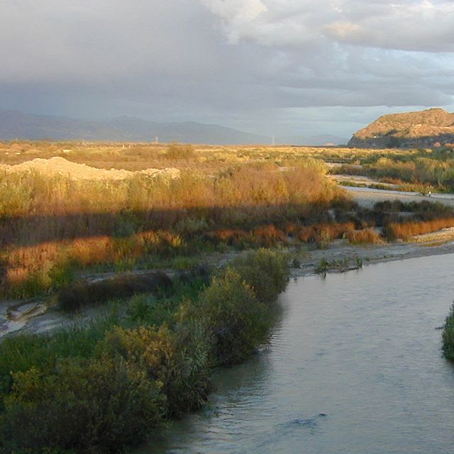 The Nature Conservancy has played in a large role in protecting the Santa Clara River (SCR) and its tributaries in Southern California.