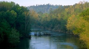 Cahaba River in Alabama in United States, North America.