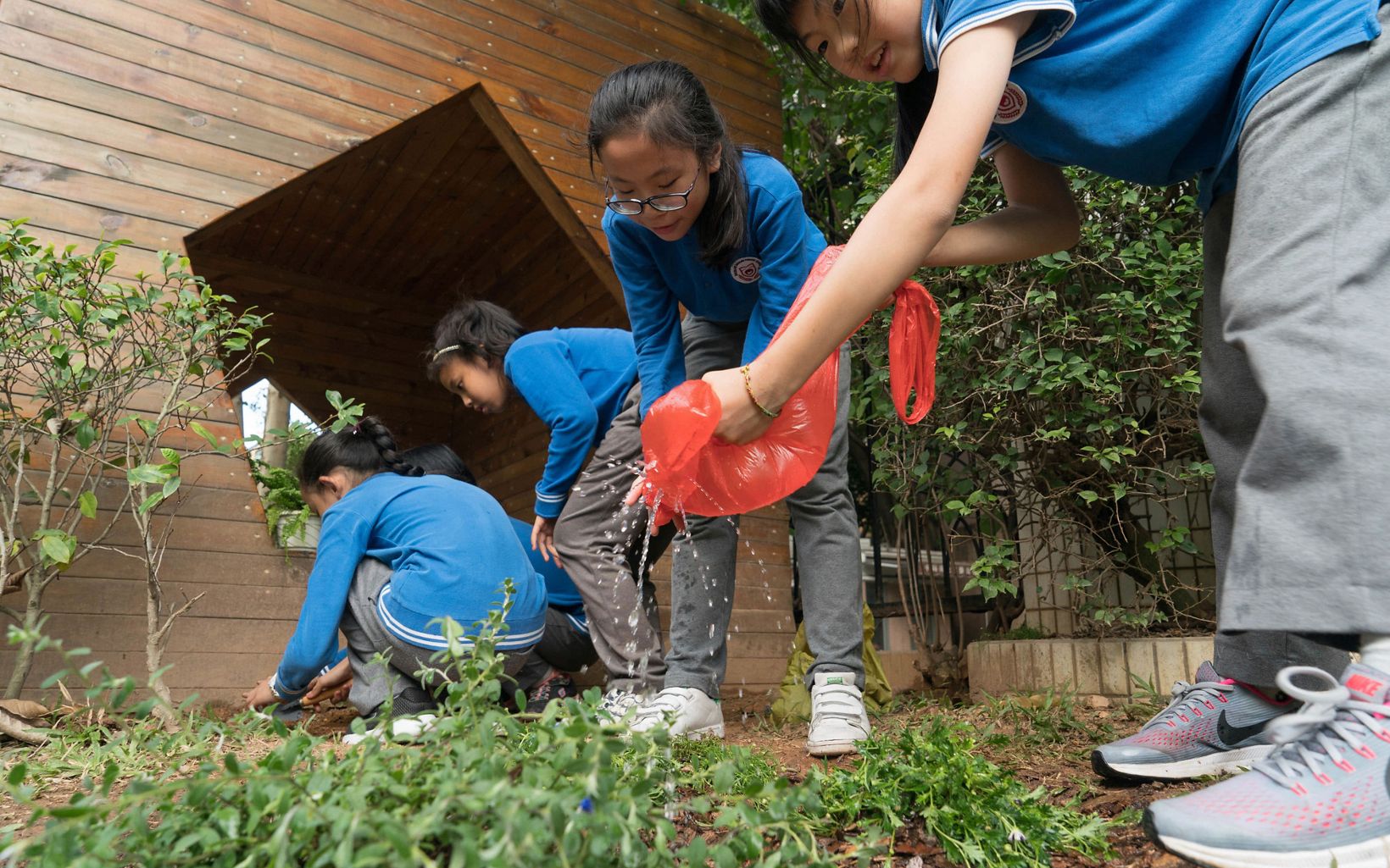 Children gather during a gardening activity at the Sinolink Primary School in Shenzhen, China. November 2017. The Sinolink Primary School in Shenzhen has implemented a number of sponge city features including permeable surfaces in their sports grounds and entrance walking areas, added rain barrels, and started a 'young naturalists' class that also teaches students about rainwater management and related gardening. The school is located in Luohu district, Shenzhen, China. TNC's Build Healthy Cities Program.