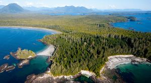 Aerial view of waters in Clayoquot Sound on the coast of British Columbia, with forest-covered mountains in the background.