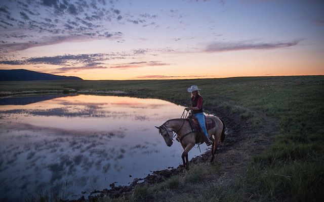 Montana Grassbank Project: In 2002, the Conservancy began leasing parts of the ranch to neighboring ranchers who were suffering from several years of severe drought.