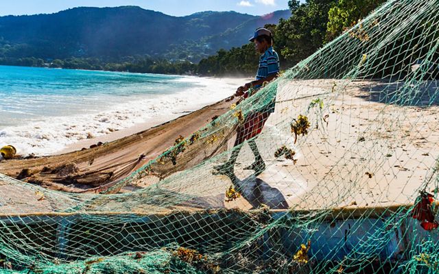 Mackrel fishermen in Seychelles fish along the shore with small boats and siene nets, trapping fish against the beach and hauling the catch up onto the sand.