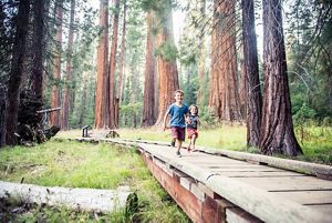 Two kids run along a boardwalk in Sequoia National Park. 