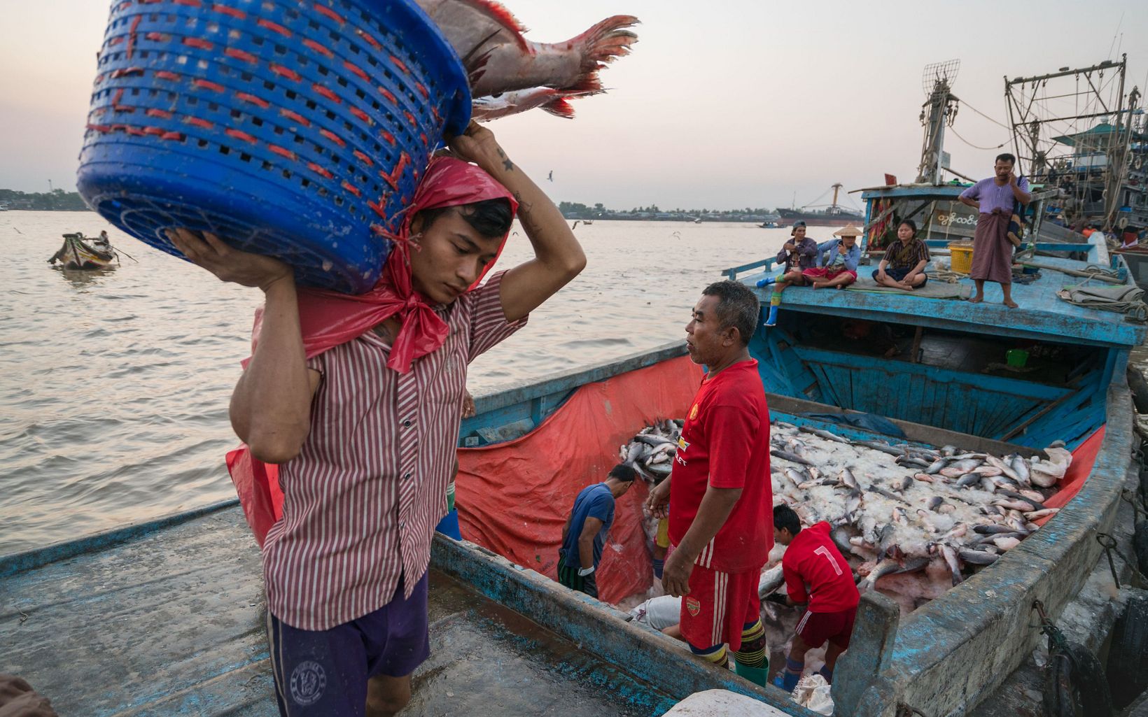 A person hoists a basket of fish from a fishing boat while others look on.