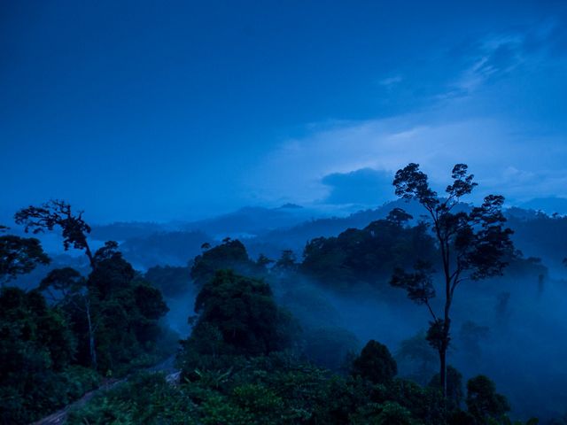 印尼婆東加里曼丹的風景。