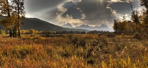 Landscape view looking across a field of dry grasses toward mountains in the distance.