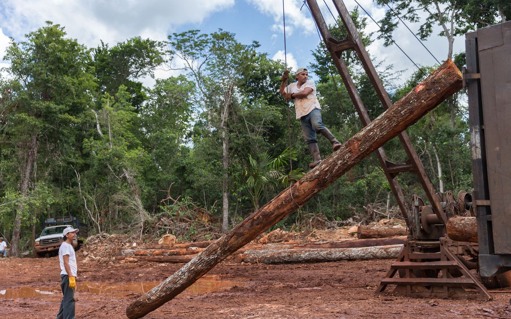 
                
                  Mexico Leonardo Reyes Peregrino loads Chico Zapote logs onto a truck with a crane in a clearing in the tropical forest around Noh Bec, Quintana Roo. 
                  © Erich Schlegel
                
              