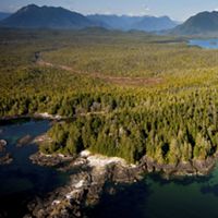 An aerial view of Clayoquot Sound, on the west coast of Vancouver Island in the Canadian province of British Columbia. The Conservancy is conserving over 250,000 acres of old-growth forest in partnership with local Indigenous communities – doubling the area’s current protection. Clayoquot Sound is a critical part of the 100M acre Emerald Edge, the largest and last intact coastal rainforest on earth, whose majestic lands, waters and wildlife are a global treasure of epic biodiversity now struggling from threats to the environment in coastal Washington, Alaska and British Columbia. 