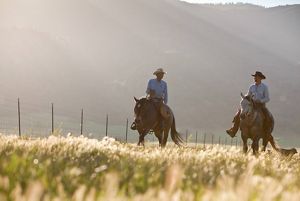 Two farmers on horses riding among crops.