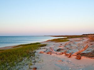 The beach on the north end of St. Simons Island in Georgia.