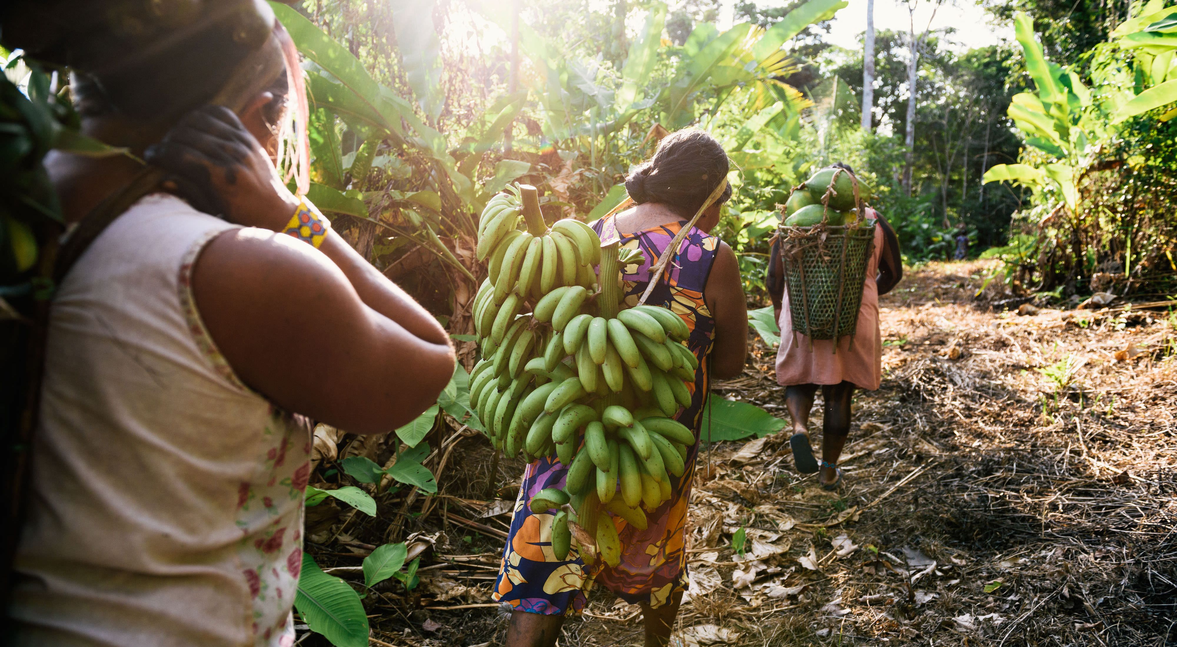 Integrantes de la comunidad cargan papayas y plátanos sobre sus hombros
