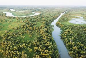 An aerial shot of a river system in the Wax Lake Delta.