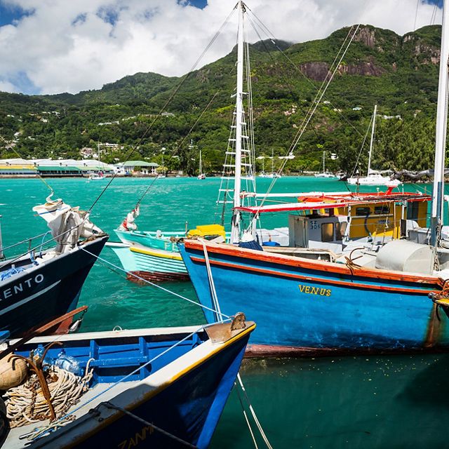 Colorful fishing boats harbored in a turquoise ocean 