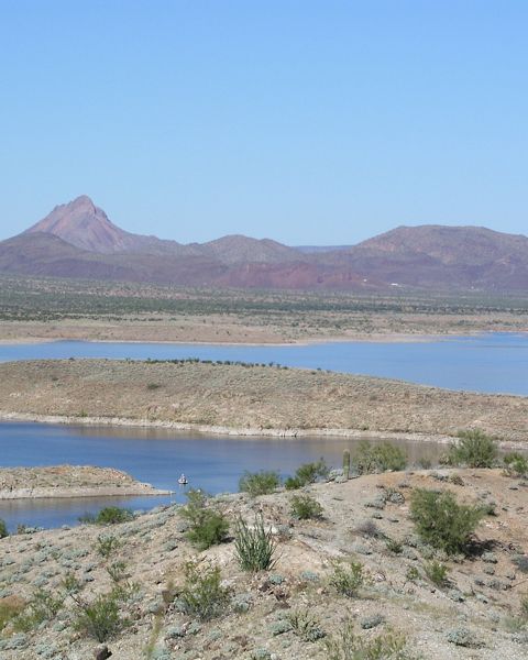 near Alamo Lake