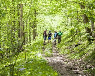 TNC volunteers and community members enjoy a wildflowers hike along the Brown Trail at Sally Brown Nature Preserve in Lancaster, Kentucky. 