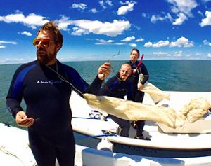 Coastal Scientist Bo Lusk stands on a floating dock in a coastal bay. He is wearing a black wetsuit and holds up two long strands of green eelgrass. Two people stand in a boat behind him.