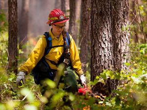 A woman uses a drip torch at a controlled burn. A woman wearing yellow fire gear and a red hard hat walks through a forest carrying red canister. Smoke rises behind her from a low fire.
