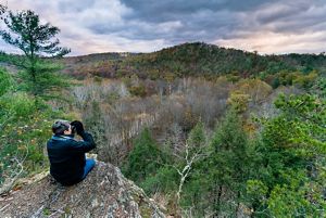 A person sits on a rock with binoculars looking at the forest.