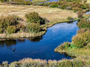 Silver Creek is a world-class trout fishery
