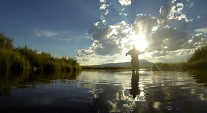 Fly fisherman standing in a creek with hills and the setting sun in the background.