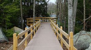 A boardwalk with railings on either side leads through trees to an observation platform overlooking a body of water.