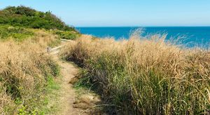 View from a grassy bluff overlooking the blue waters of the ocean.