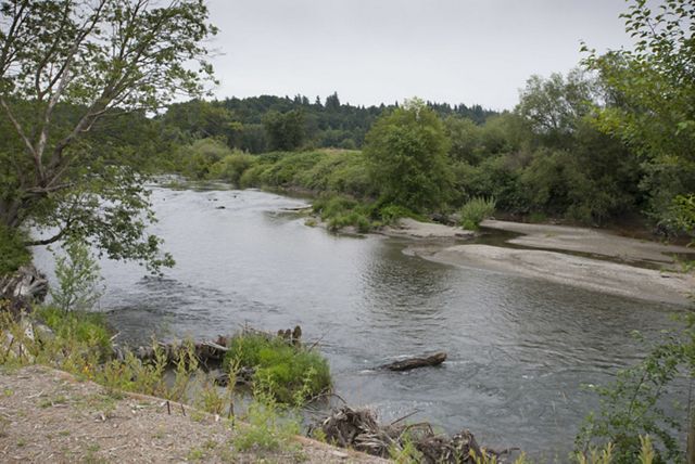 A wide river flows between low, sandy banks lined with trees.