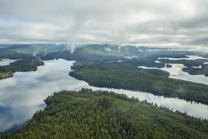 An aerial image of a forest with many connecting lakes.