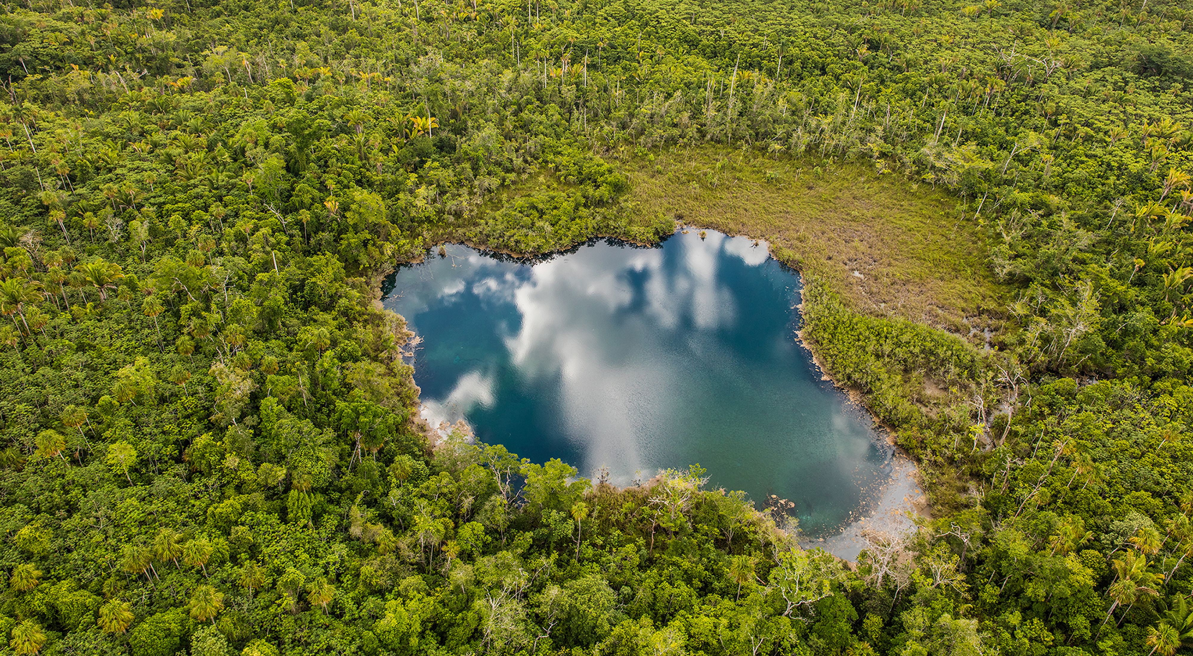 An aerial view of tropical forest and a blue water pool reflected the cloudy sky