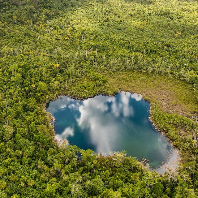An aerial view of Cara Blanca Pool 19, one of 24 cenotes that support a rich diversity of fish, wildlife and archaeological sites.
