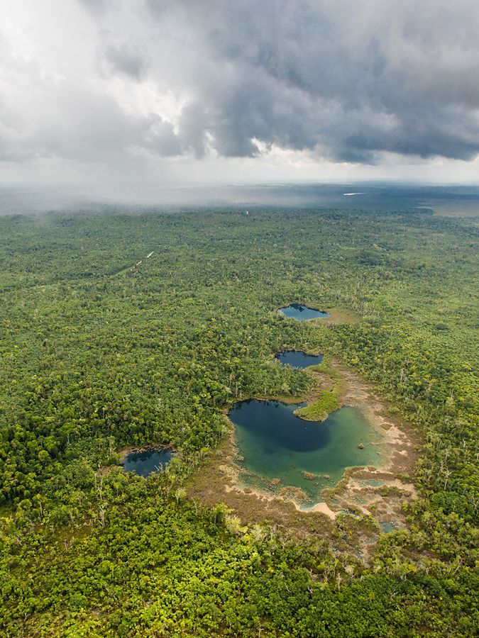 aerial view of tropical forest with blue pools      