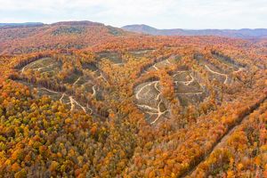 Aerial view of mountain top where sustainable timber harvest has occurred. Wide strips of trees enclose rectangular areas that have been logged.