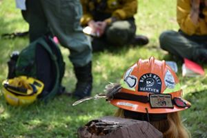 Fire Helmet